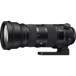 SIGMA 150-600mm F5-6.3 DG OS HSM｜Sports [ニコンF用]