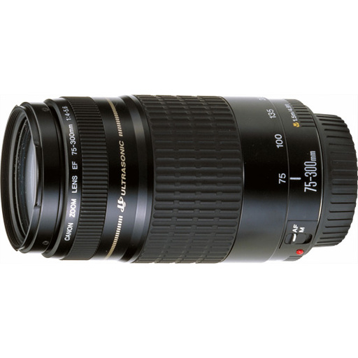 Canon EF75-300mm F4-5.6 USMの特徴・比較｜495gの軽量望遠ズーム