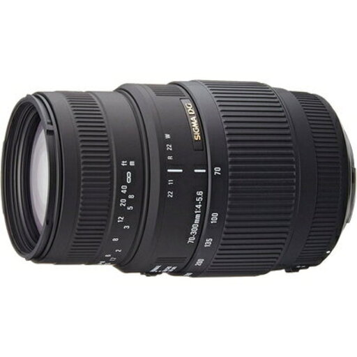 SIGMA 70-300mm F4-5.6 DG MACRO キヤノンEF用を解説｜1:2マクロ