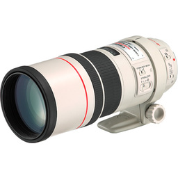 Canon 300mm F4L IS USM