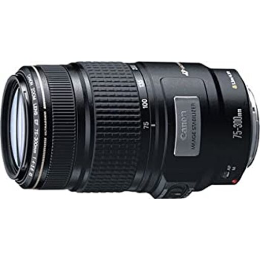 Canon EF75-300mm F4-5.6 IS USMを解説｜世界初のIS搭載望遠ズームの