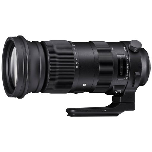 SIGMA 60-600mm F4.5-6.3 DG OS HSM｜Sports [シグマSA用]
