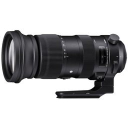 SIGMA 60-600mm F4.5-6.3 DG OS HSM｜Sports [シグマSA用]