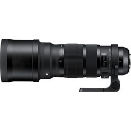 SIGMA 120-300mm F2.8 DG OS HSM｜Sports [シグマSA用]