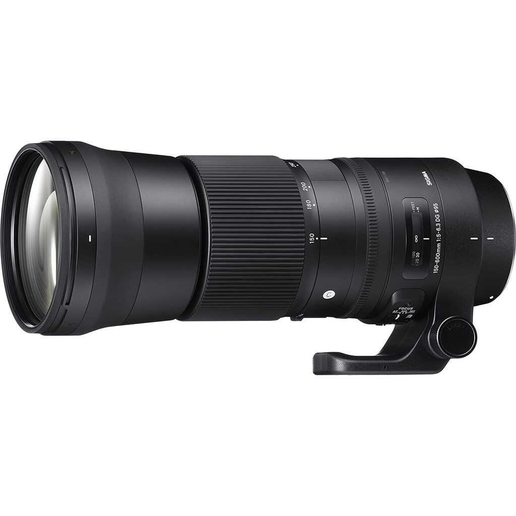 SIGMA150-600mm F5-6.3 DG Contemporaryレンズ 150-600mm F5-6.3 DG OS HSM | Contemporary | LENSES