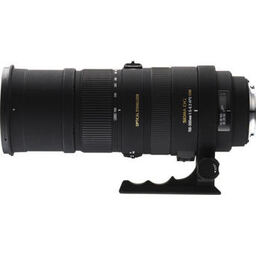 SIGMA APO 150-500mm F5-6.3DG OS HSM (キヤノンEF用) SIGMA APO 150-500mm F5-6.3DG OS HSM (キヤノンEF用)