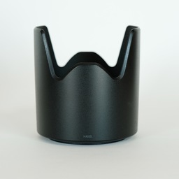 TAMRON SP 70-300mm F/4-5.6 Di VC USD (Model A030) [キヤノンEF用]