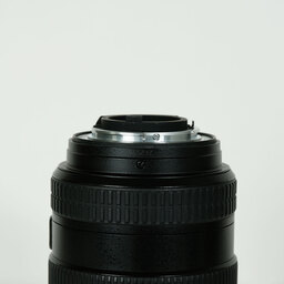 Nikon AF-S DX Zoom-Nikkor 17-55mm f/2.8G IF-ED