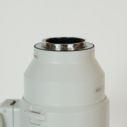 SONY FE 200-600mm F5.6-6.3 G OSS SEL200600G