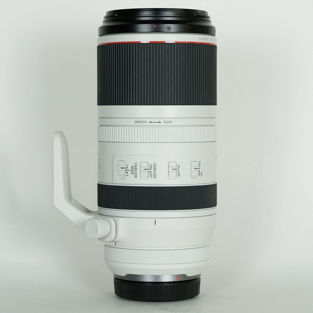 Canon RF100-500mm F4.5-7.1L IS USM