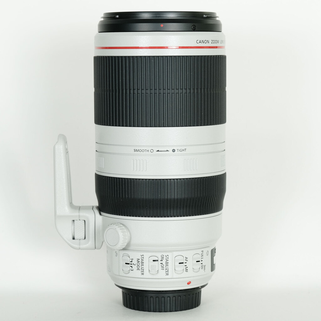 Canon EF100-400mm F4.5-5.6L IS II USM