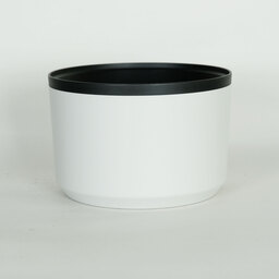 Canon RF70-200mm F2.8 L IS USM