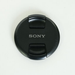 SONY FE 24-105mm F4 G OSS SEL24105G