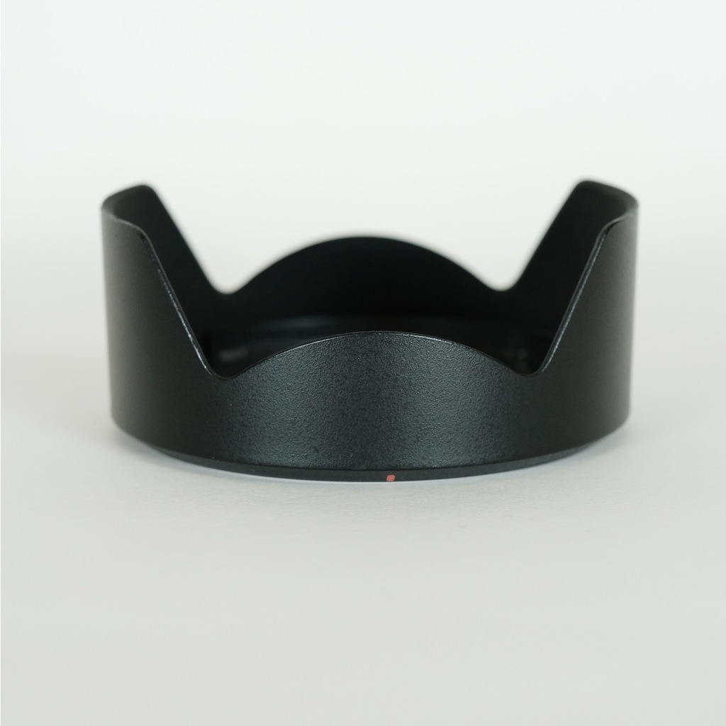 SONY FE 24-105mm F4 G OSS SEL24105G