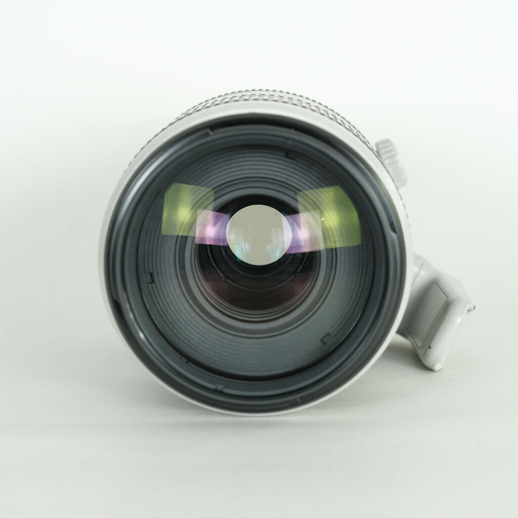 Canon EF100-400mm F4.5-5.6L IS II USM