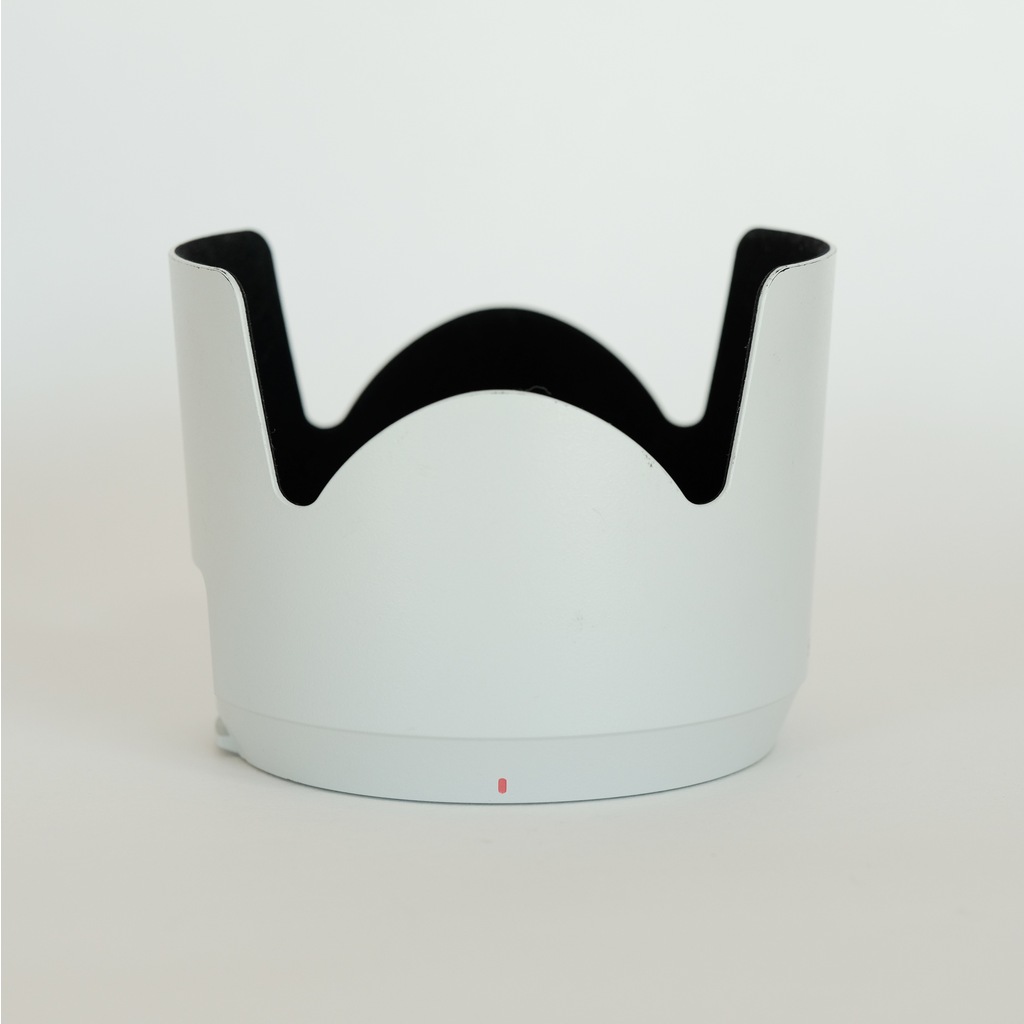 SONY FE 70-200mm F2.8 GM OSS SEL70200GM