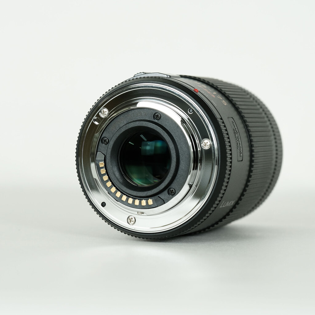 Panasonic LUMIX G X VARIO PZ 45-175mm / F4.0-5.6 ASPH. / POWER O.I.S.