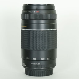 Canon EF75-300mm F4-5.6 III USM Canon EF75-300mm F4-5.6 III USM