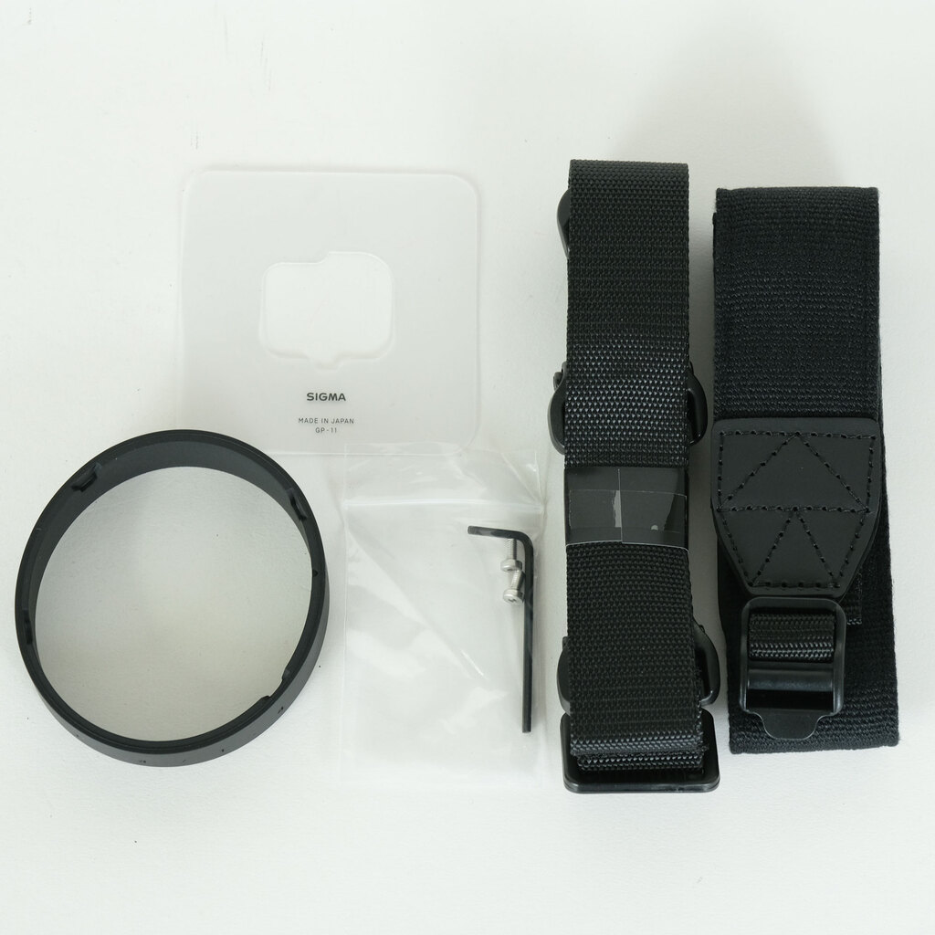 SIGMA 14mm F1.4 DG DN｜Art [ソニーE用]