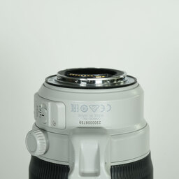 Canon EF100-400mm F4.5-5.6L IS II USM