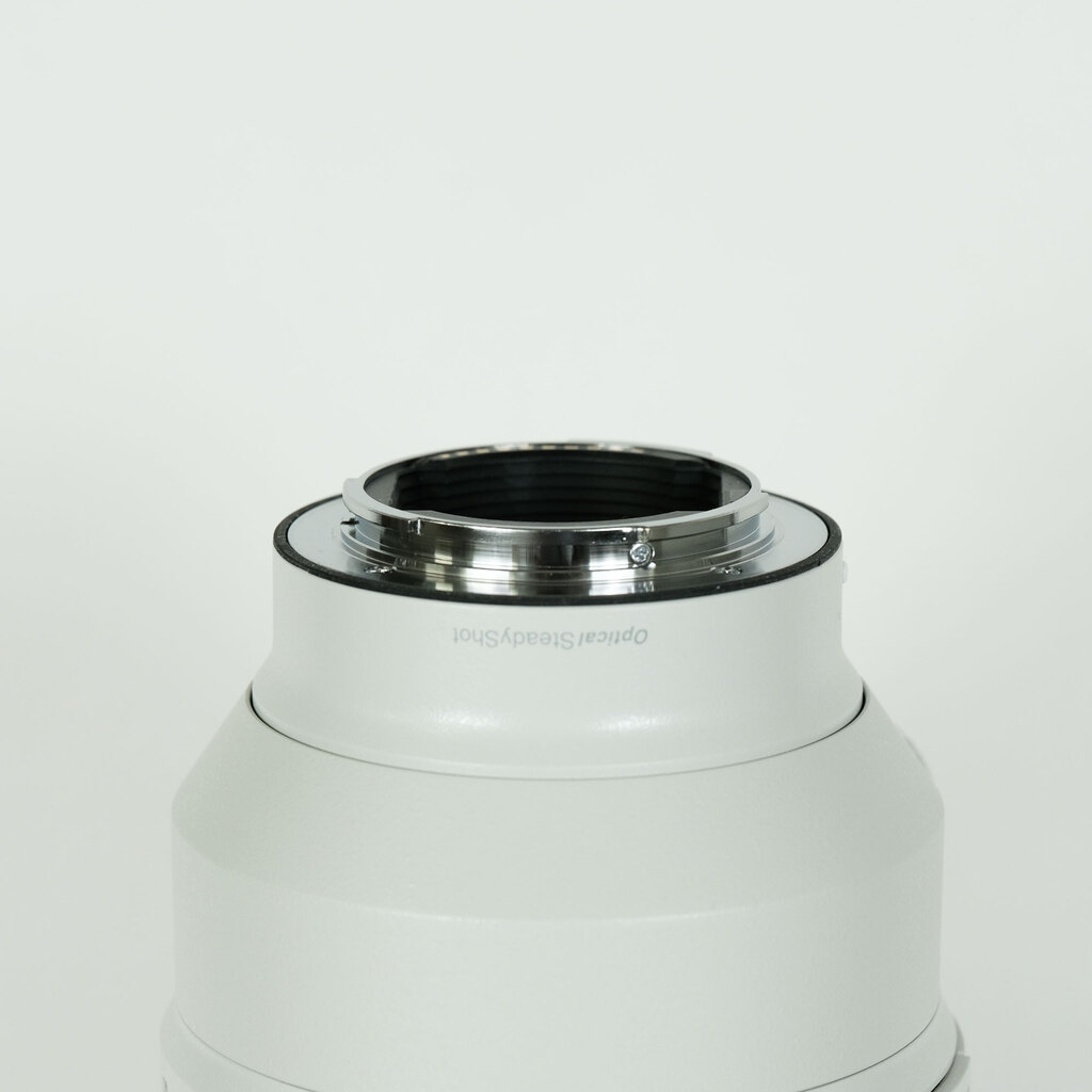 SONY FE 100-400mm F4.5-5.6 GM OSS SEL100400GM