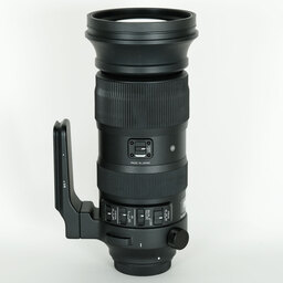 SIGMA 60-600mm F4.5-6.3 DG OS HSM | Sports [キヤノン用]