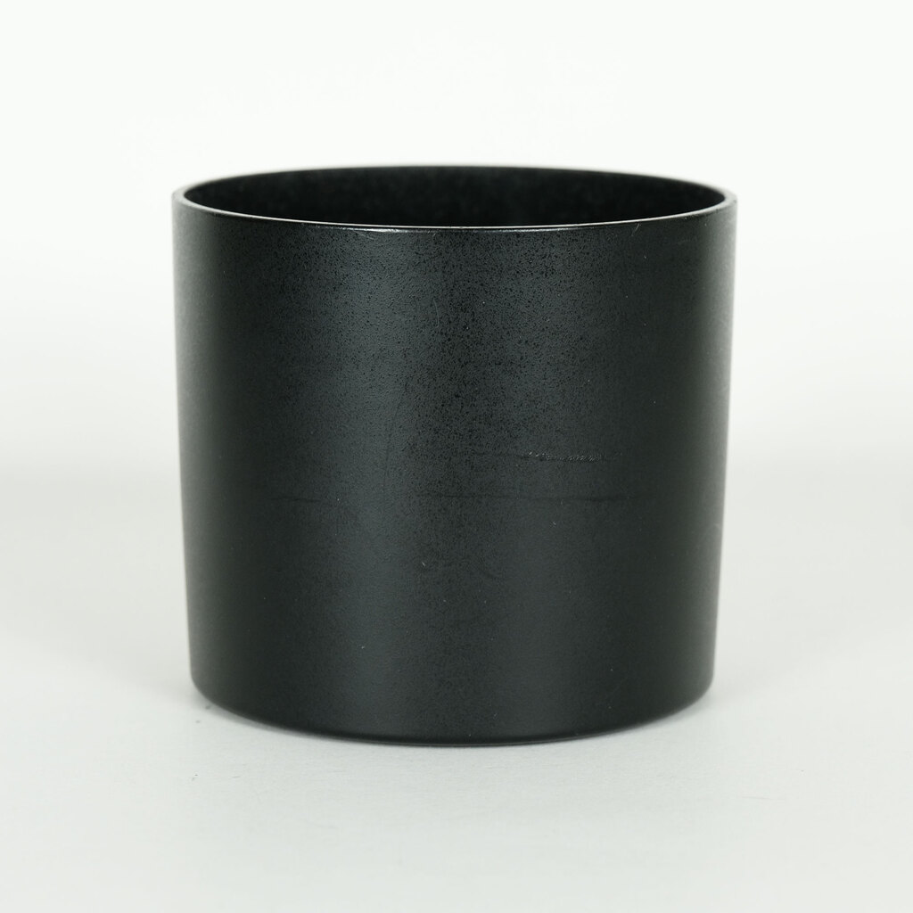 Canon EF100mm F2.8Lマクロ IS USM