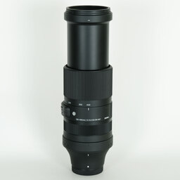 SIGMA 100-400mm F5-6.3 DG DN OS｜Contemporary［フジフイルムX用］