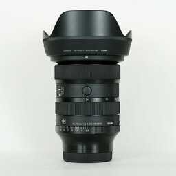 SIGMA 24-70mm F2.8 DG DN II｜Art [ソニーE用]