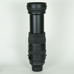 SIGMA 150-600mm F5-6.3 DG DN OS｜Sports [ソニーE用]