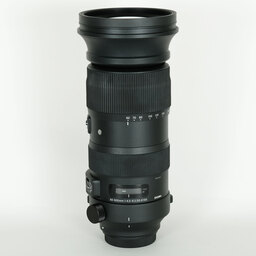 SIGMA 60-600mm F4.5-6.3 DG OS HSM | Sports [キヤノン用]
