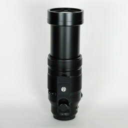 Panasonic LEICA DG VARIO-ELMAR 100-400mm / F4.0-6.3 II ASPH. / POWER O.I.S.