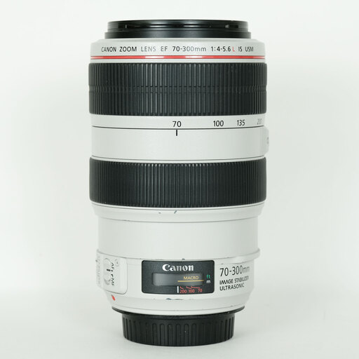 Canon EF70-300mm F4-5.6L IS USMを徹底解説。作例からレビュー