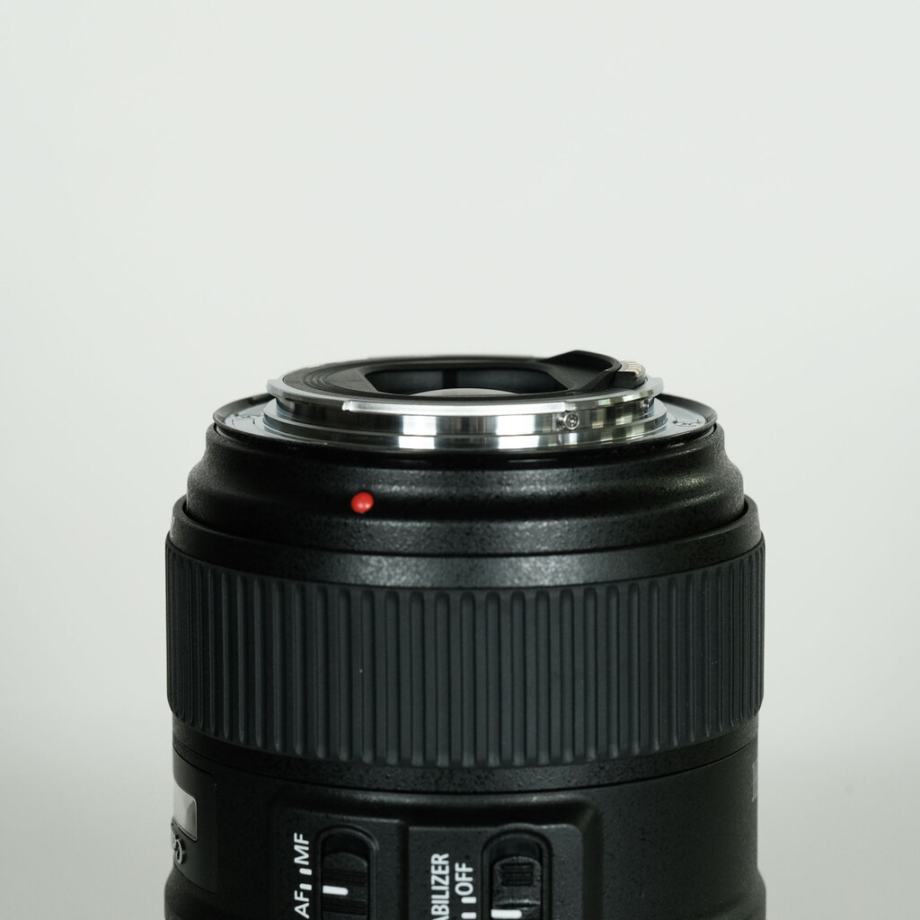 Canon EF24-105mm F4L IS II USM