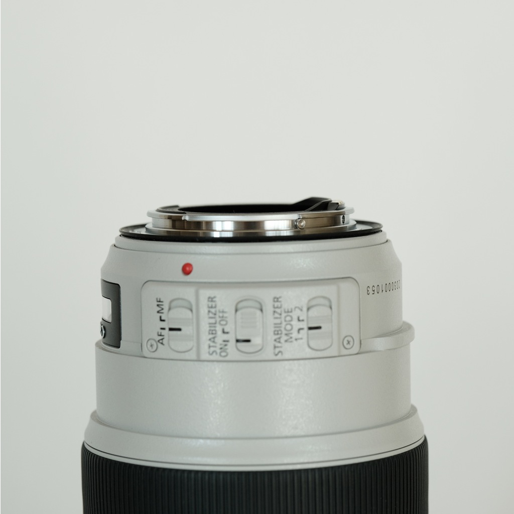 Canon EF70-300mm F4-5.6L IS USM