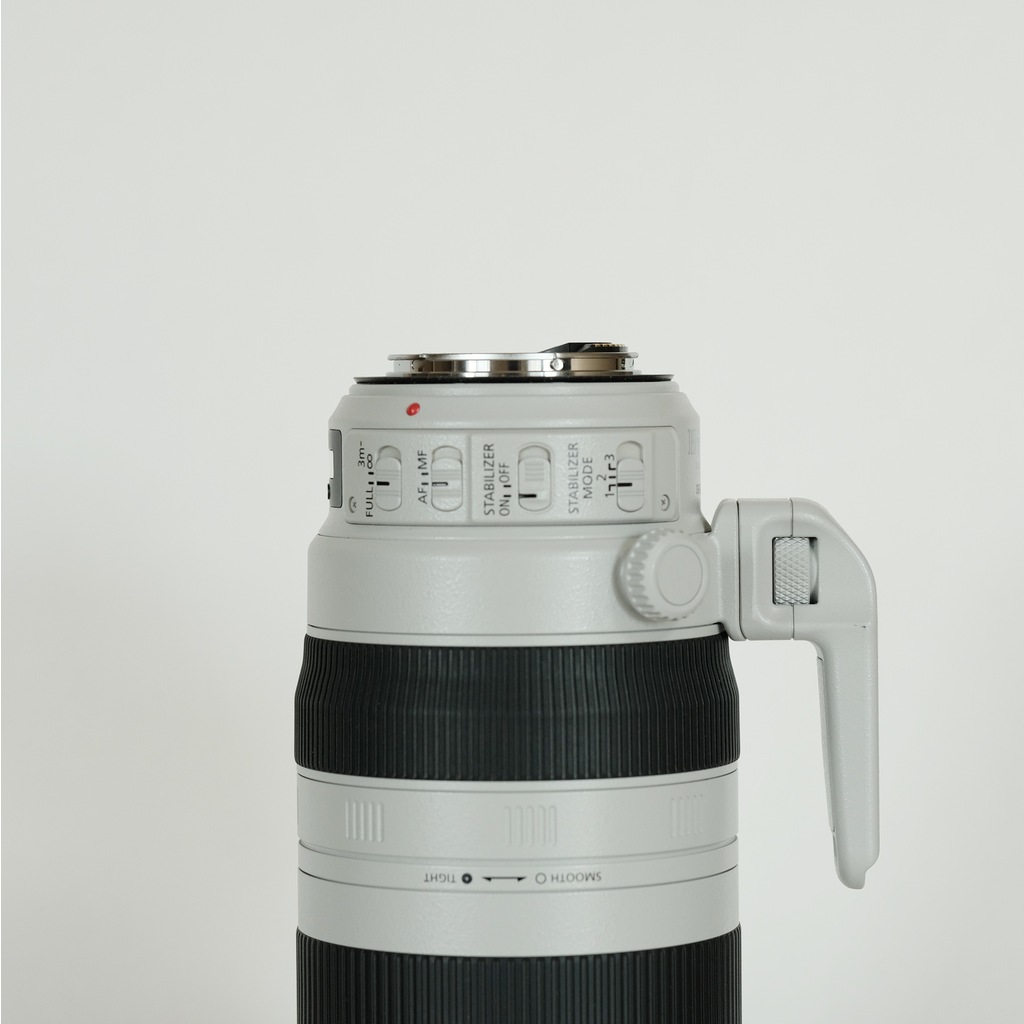 Canon EF100-400mm F4.5-5.6L IS II USMの出品 | ONE SCENE