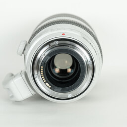 Canon EF100-400mm F4.5-5.6L IS II USM