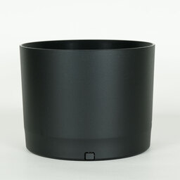 Canon RF200-800mm F6.3-9 IS USM