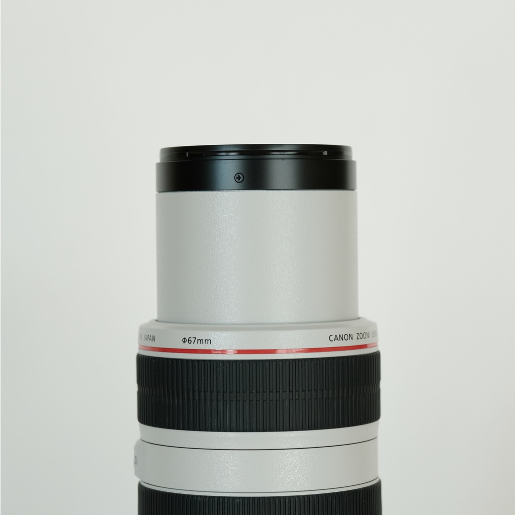 Canon EF70-300mm F4-5.6L IS USM