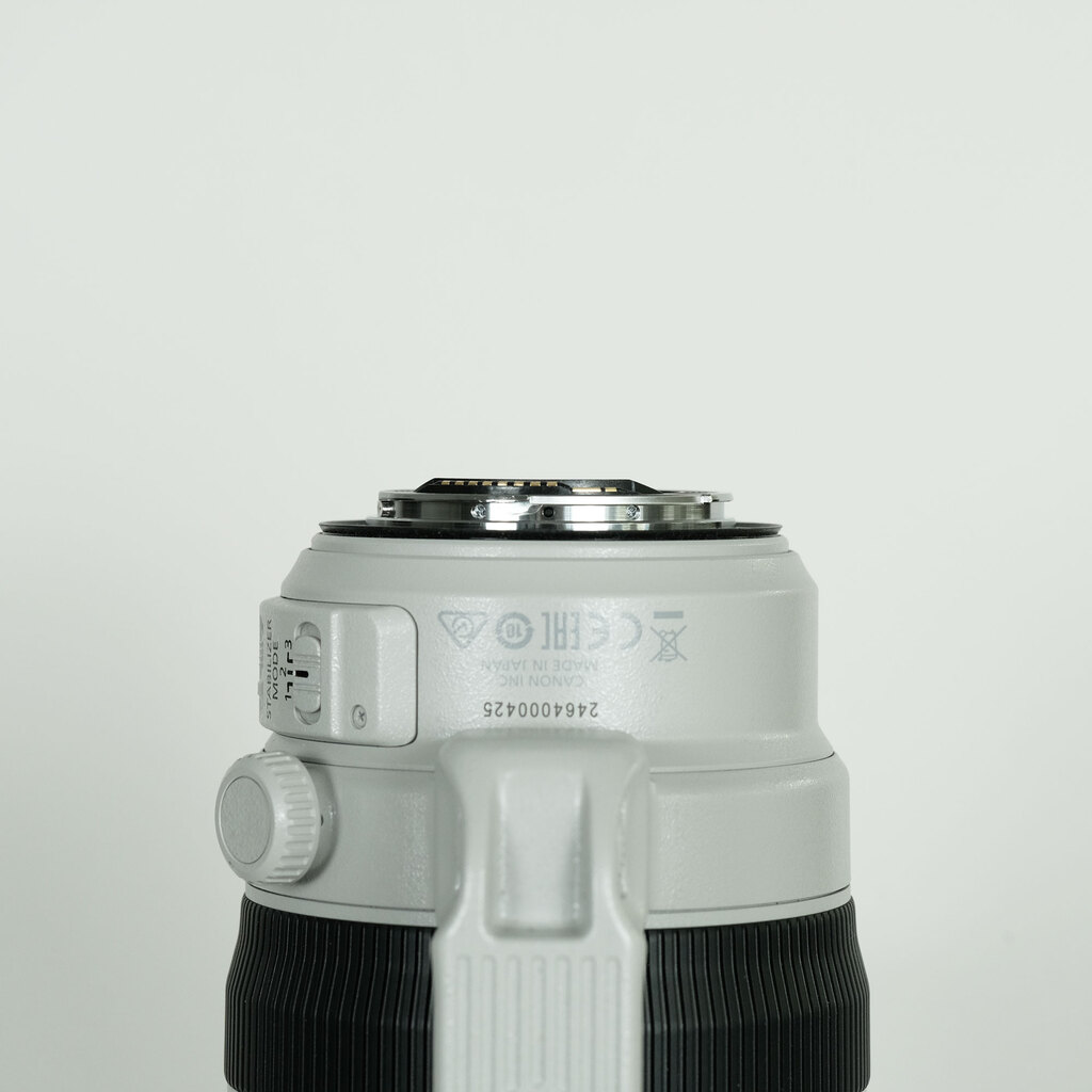 Canon EF100-400mm F4.5-5.6L IS II USM