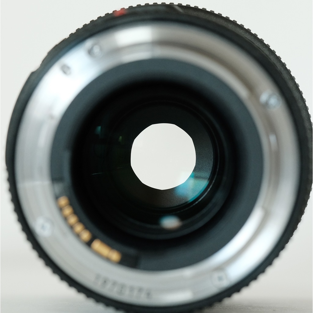 Canon EF100mm F2.8Lマクロ IS USM