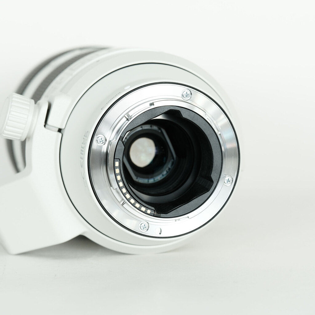 SONY FE70-200mm F4 Macro G OSS II SEL70200G2