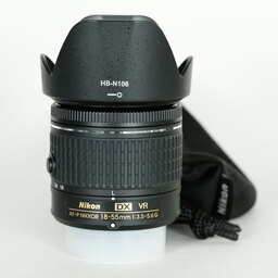 Nikon AF-P DX NIKKOR 18-55mm F3.5-5.6G VR