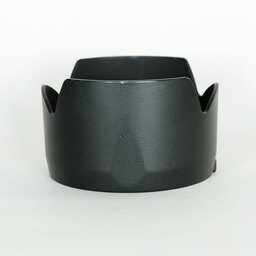 Nikon AF-S DX Zoom-Nikkor 17-55mm f/2.8G IF-ED