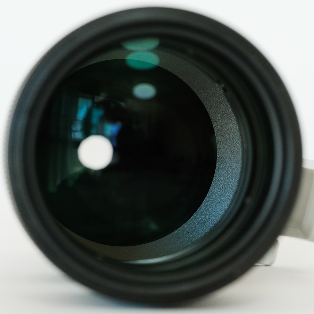 SONY FE 70-200mm F2.8 GM OSS SEL70200GM