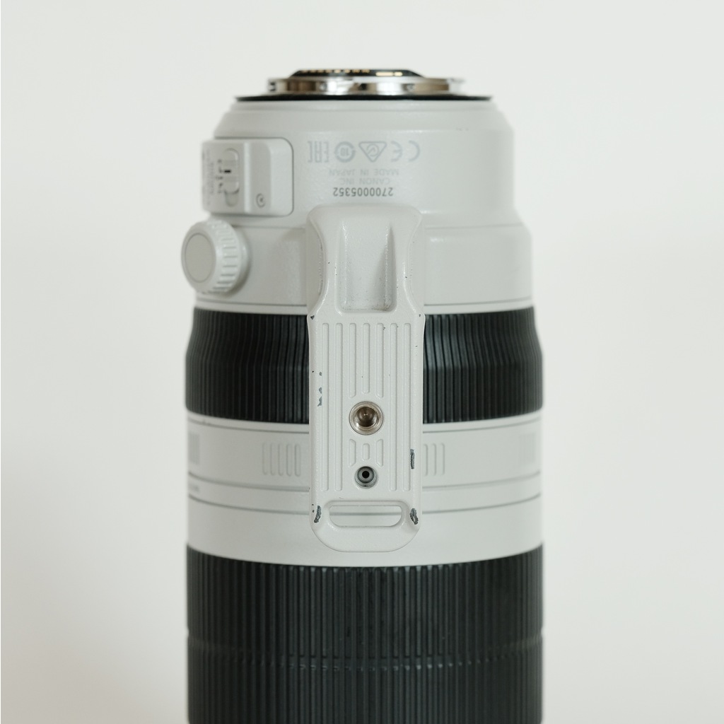 Canon EF100-400mm F4.5-5.6L IS II USM