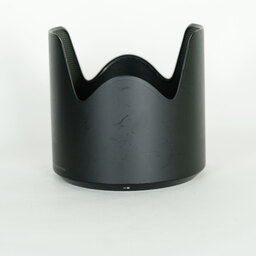 TAMRON SP 70-200mm F/2.8 Di VC USD G2 (Model A025) [ニコンF用]