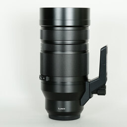 Panasonic LEICA DG VARIO-ELMAR 100-400mm / F4.0-6.3 II ASPH. / POWER O.I.S.