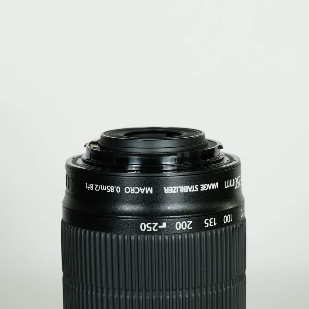 Canon EF-S55-250mm F4-5.6 IS STM
