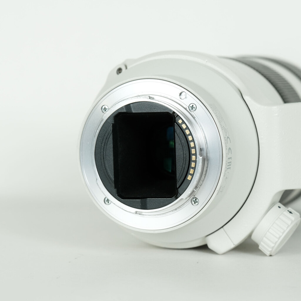 SONY FE 70-200mm F4 G OSS SEL70200G